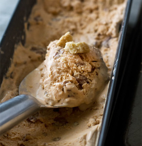Pumpkin Pecan Ice Cream